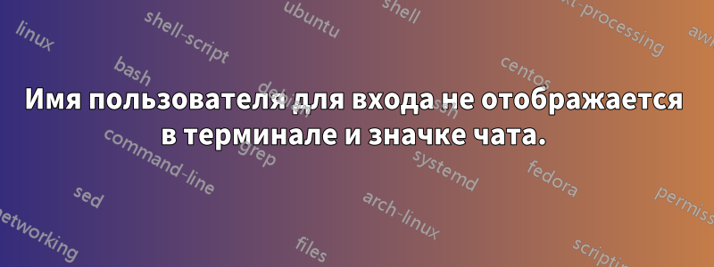 Имя пользователя для входа не отображается в терминале и значке чата.