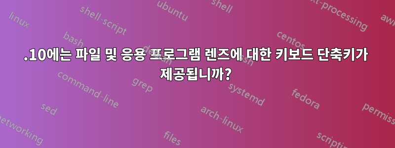 11.10에는 파일 및 응용 프로그램 렌즈에 대한 키보드 단축키가 제공됩니까?