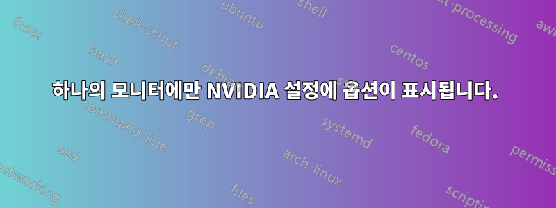 하나의 모니터에만 NVIDIA 설정에 옵션이 표시됩니다.