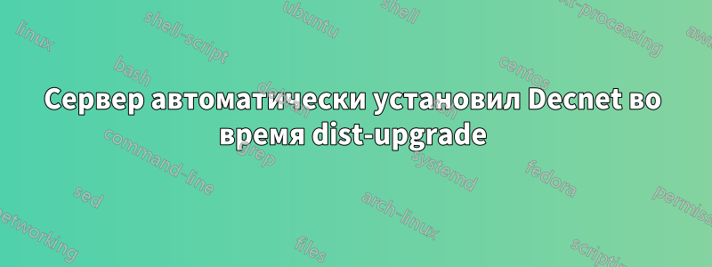 Сервер автоматически установил Decnet во время dist-upgrade