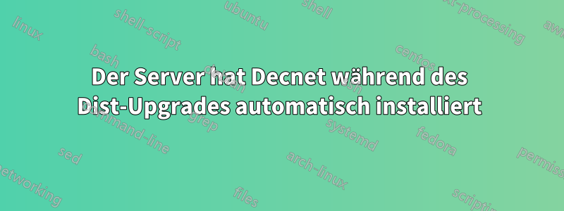 Der Server hat Decnet während des Dist-Upgrades automatisch installiert