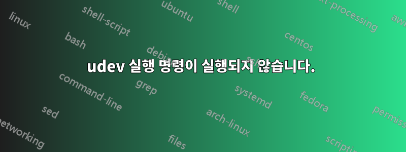 udev 실행 명령이 실행되지 않습니다.