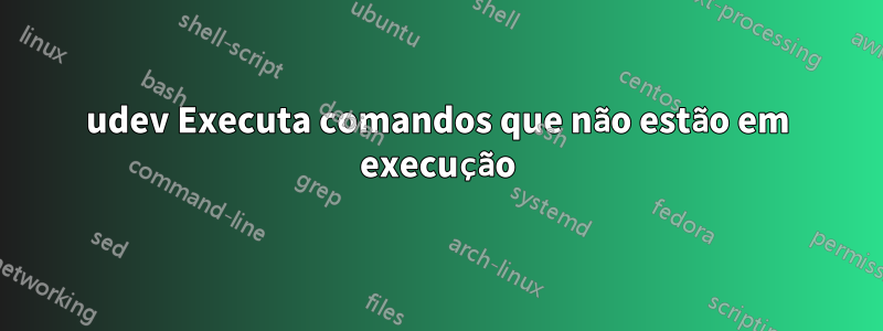 udev Executa comandos que não estão em execução