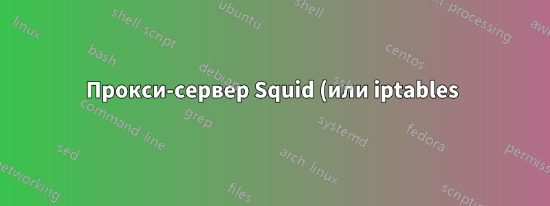 Прокси-сервер Squid (или iptables) не позволяет моим пользователям отправлять или получать почту