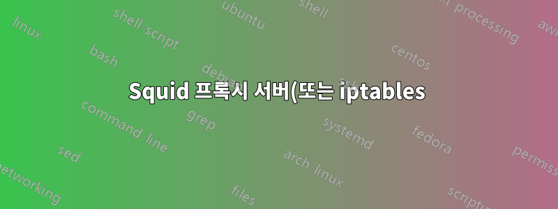 Squid 프록시 서버(또는 iptables)로 인해 사용자가 메일을 보내거나 받을 수 없습니다.