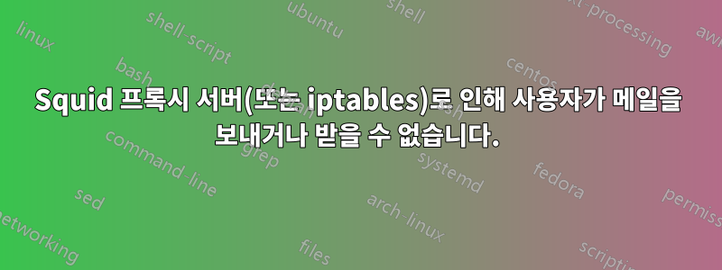 Squid 프록시 서버(또는 iptables)로 인해 사용자가 메일을 보내거나 받을 수 없습니다.