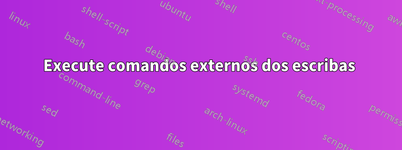 Execute comandos externos dos escribas