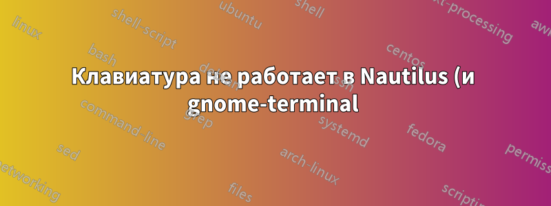 Клавиатура не работает в Nautilus (и gnome-terminal) после обновления Ubuntu с 11.04 до 11.10