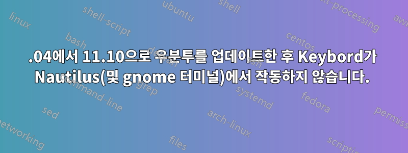 11.04에서 11.10으로 우분투를 업데이트한 후 Keybord가 Nautilus(및 gnome 터미널)에서 작동하지 않습니다.