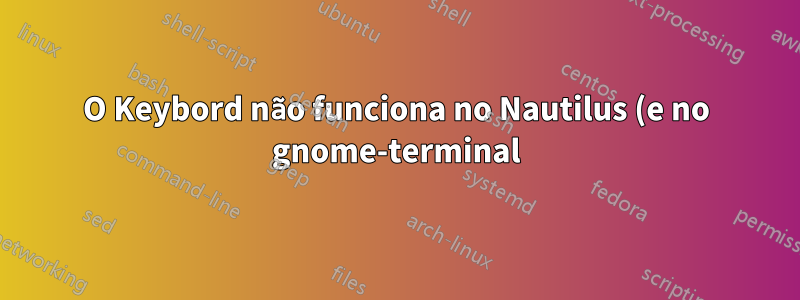 O Keybord não funciona no Nautilus (e no gnome-terminal) após a atualização do Ubuntu de 11.04 para 11.10