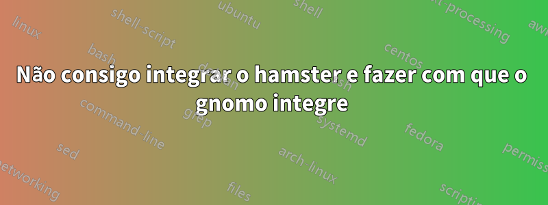 Não consigo integrar o hamster e fazer com que o gnomo integre