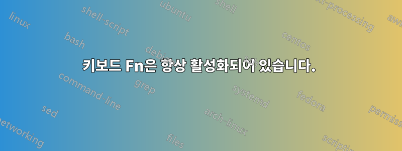 키보드 Fn은 항상 활성화되어 있습니다.