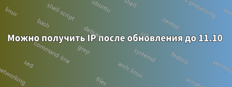 Можно получить IP после обновления до 11.10