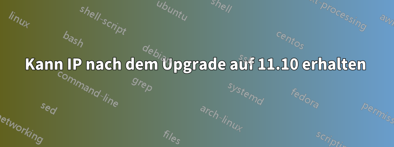 Kann IP nach dem Upgrade auf 11.10 erhalten