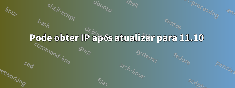 Pode obter IP após atualizar para 11.10