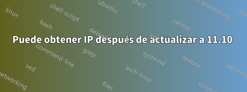 Puede obtener IP después de actualizar a 11.10