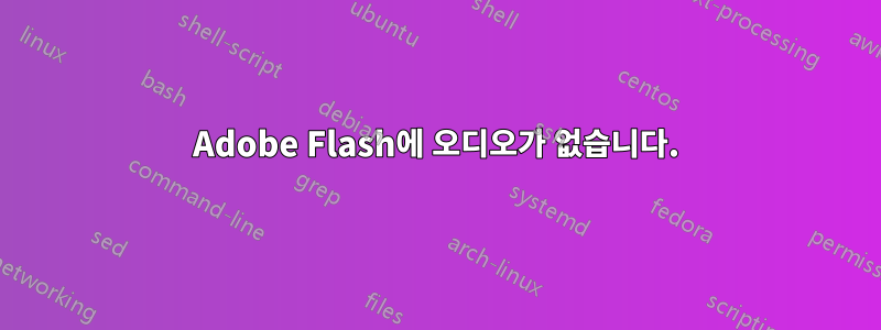 Adobe Flash에 오디오가 없습니다.