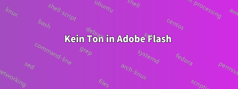 Kein Ton in Adobe Flash