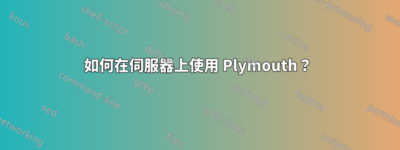 如何在伺服器上使用 Plymouth？