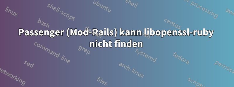 Passenger (Mod-Rails) kann libopenssl-ruby nicht finden