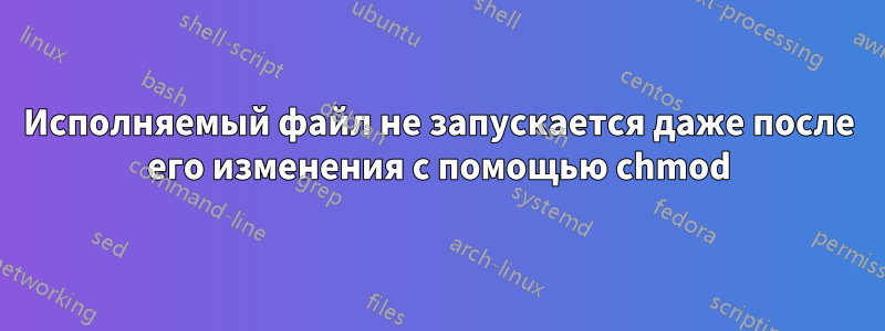 Исполняемый файл не запускается даже после его изменения с помощью chmod