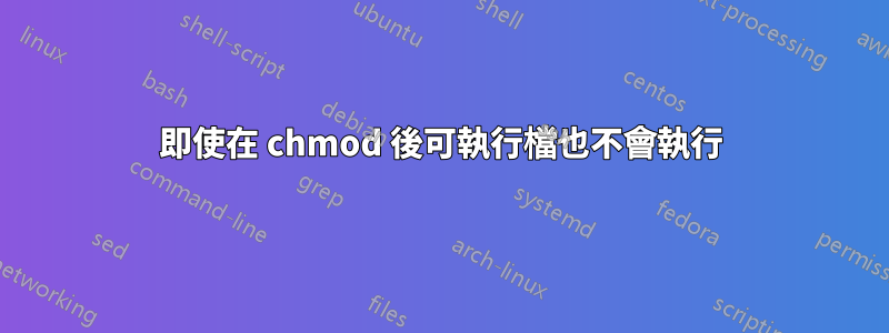 即使在 chmod 後可執行檔也不會執行