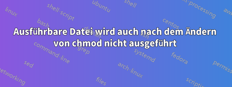 Ausführbare Datei wird auch nach dem Ändern von chmod nicht ausgeführt