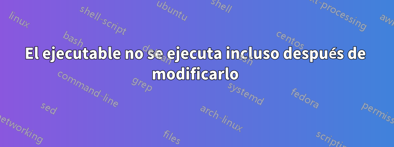 El ejecutable no se ejecuta incluso después de modificarlo