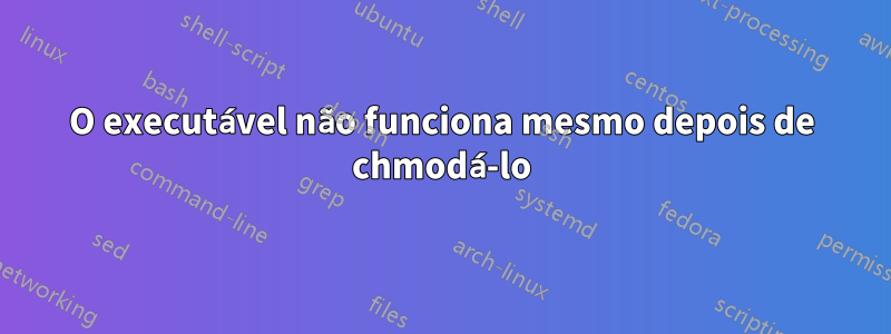 O executável não funciona mesmo depois de chmodá-lo