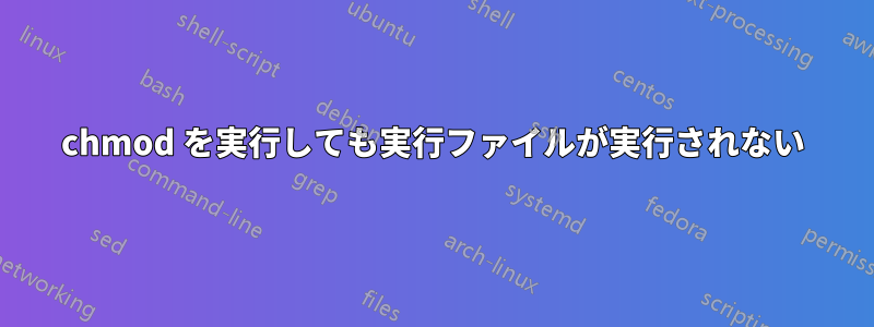 chmod を実行しても実行ファイルが実行されない