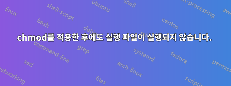 chmod를 적용한 후에도 실행 파일이 실행되지 않습니다.