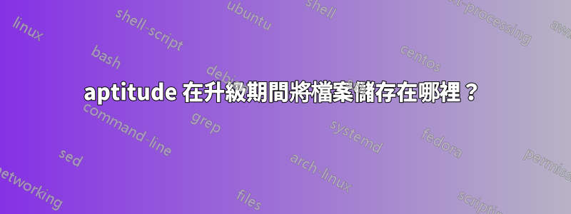 aptitude 在升級期間將檔案儲存在哪裡？