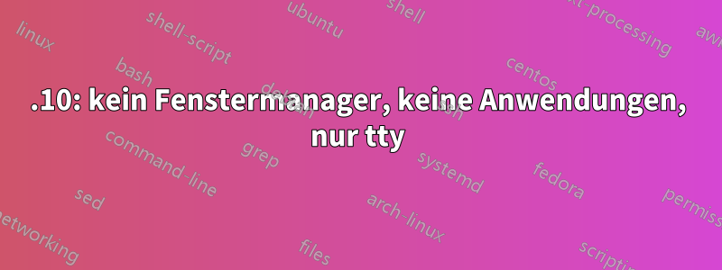 11.10: kein Fenstermanager, keine Anwendungen, nur tty