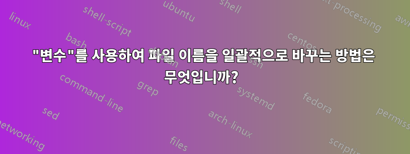 "변수"를 사용하여 파일 이름을 일괄적으로 바꾸는 방법은 무엇입니까? 