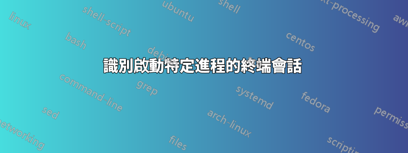 識別啟動特定進程的終端會話