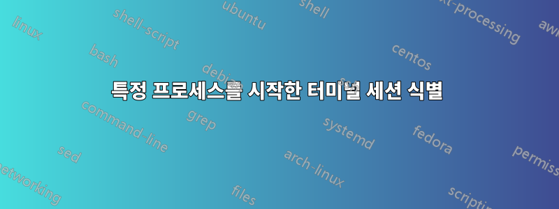 특정 프로세스를 시작한 터미널 세션 식별