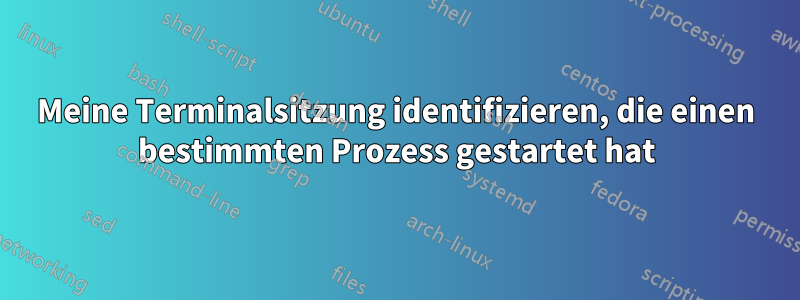 Meine Terminalsitzung identifizieren, die einen bestimmten Prozess gestartet hat