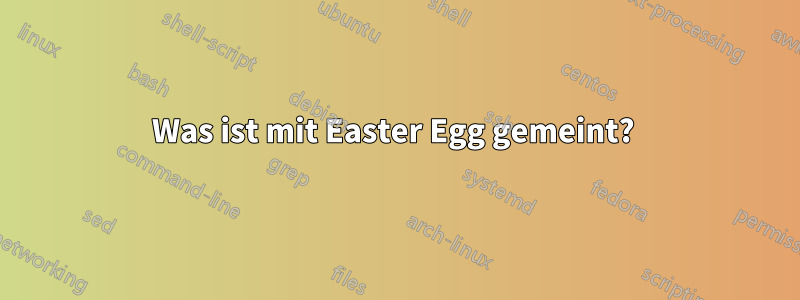 Was ist mit Easter Egg gemeint? 