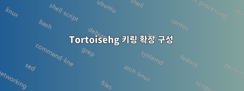 Tortoisehg 키링 확장 구성