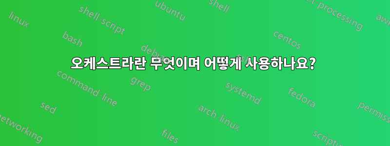 오케스트라란 무엇이며 어떻게 사용하나요?