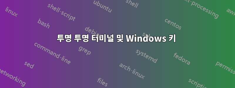 투명 투명 터미널 및 Windows 키