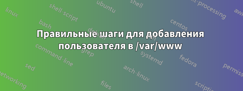 Правильные шаги для добавления пользователя в /var/www