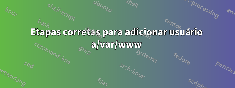 Etapas corretas para adicionar usuário a/var/www