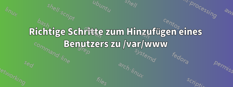 Richtige Schritte zum Hinzufügen eines Benutzers zu /var/www