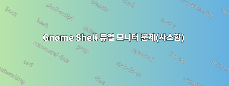 Gnome Shell 듀얼 모니터 문제(사소함)