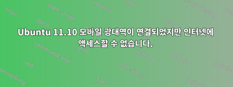 Ubuntu 11.10 모바일 광대역이 연결되었지만 인터넷에 액세스할 수 없습니다.