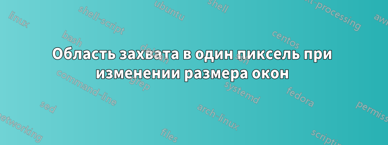 Область захвата в один пиксель при изменении размера окон