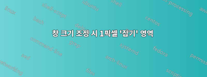 창 크기 조정 시 1픽셀 '잡기' 영역