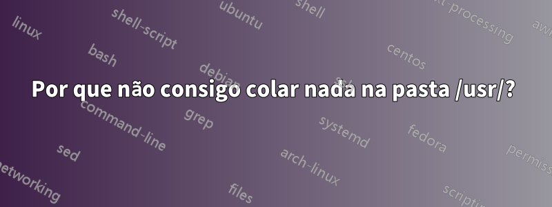 Por que não consigo colar nada na pasta /usr/?