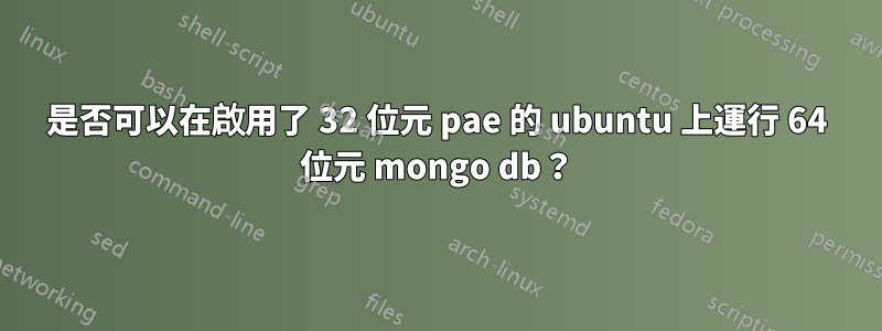 是否可以在啟用了 32 位元 pae 的 ubuntu 上運行 64 位元 mongo db？